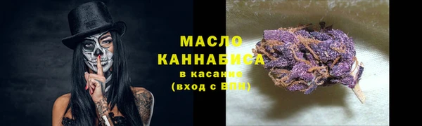 метадон Богданович