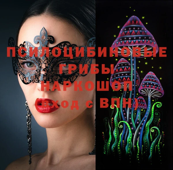 стаф Приозерск