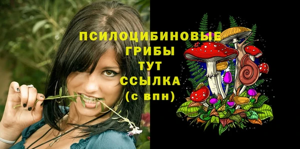 метадон Богданович